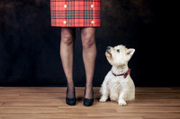 The Gloucester Dog Photographer
