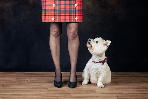 The Gloucester Dog Photographer