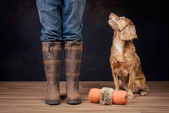 The Gloucester Dog Photographer