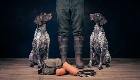 The Gloucester Dog Photographer