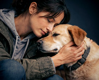 The Gloucester Dog Photographer